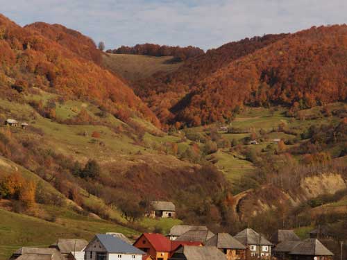 Foto Ungureni -magia toamnei (c) Petru Goja